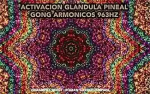 gong pineal