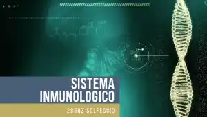 fortalecer sistema inmunologico